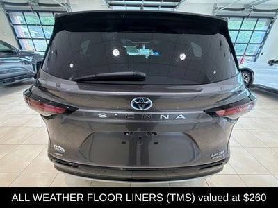 2023 Toyota Sienna Limited 7 Passenger