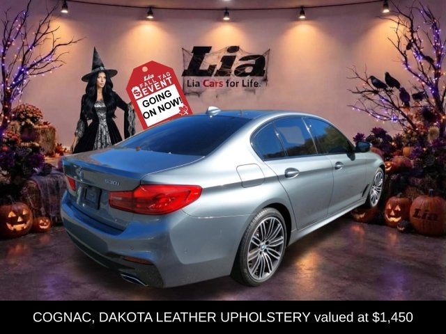 2020 BMW 5 Series 530i xDrive