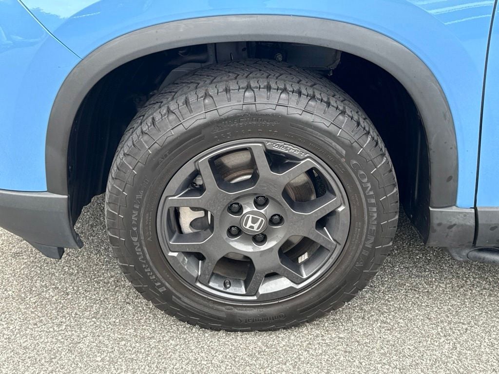 2023 Honda Pilot TrailSport
