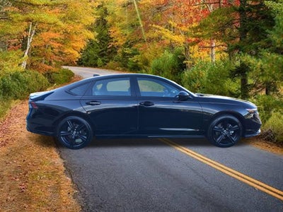 2024 Honda Accord Hybrid Sport-L