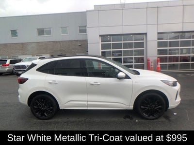 2024 Ford Escape ST-Line Elite