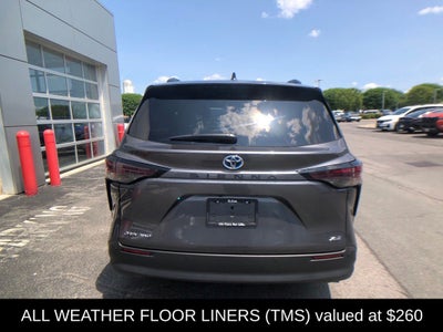 2025 Toyota Sienna XLE 7 Passenger