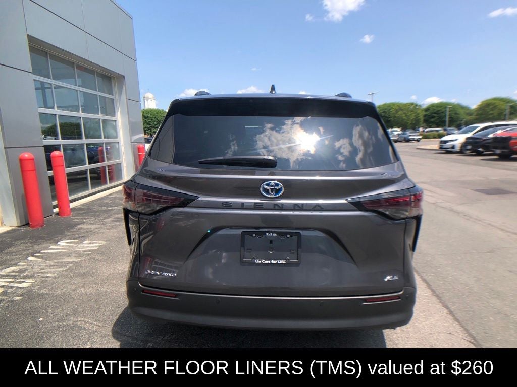 2025 Toyota Sienna XLE 7 Passenger