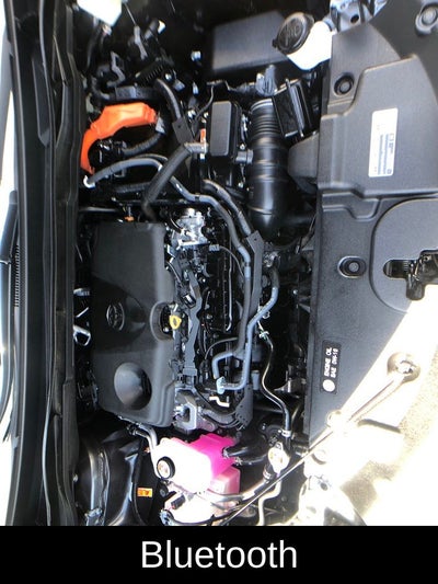 2025 Toyota Sienna LE 8 Passenger