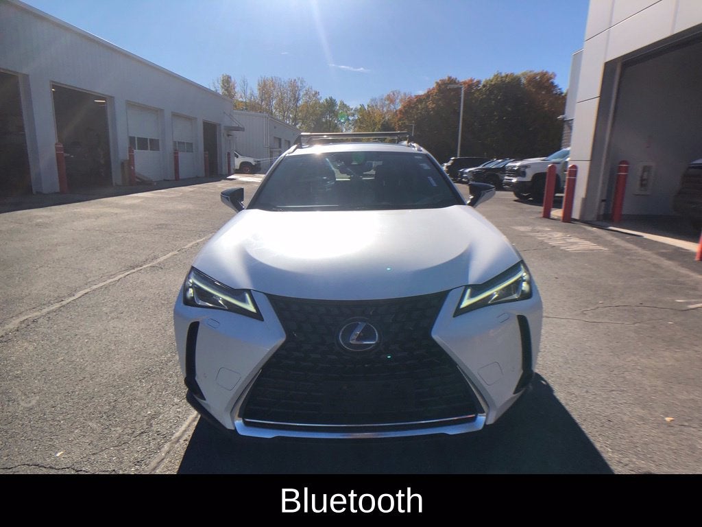 2020 Lexus UX 250h Luxury
