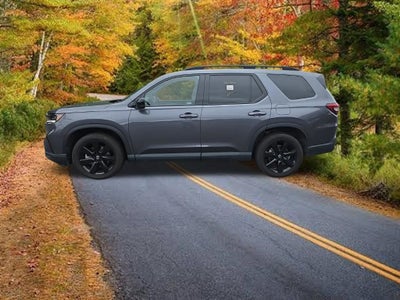 2025 Honda Pilot Black Edition