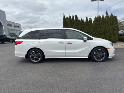 2023 Honda Odyssey Elite