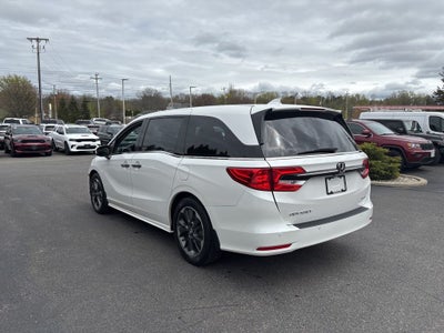 2023 Honda Odyssey Elite