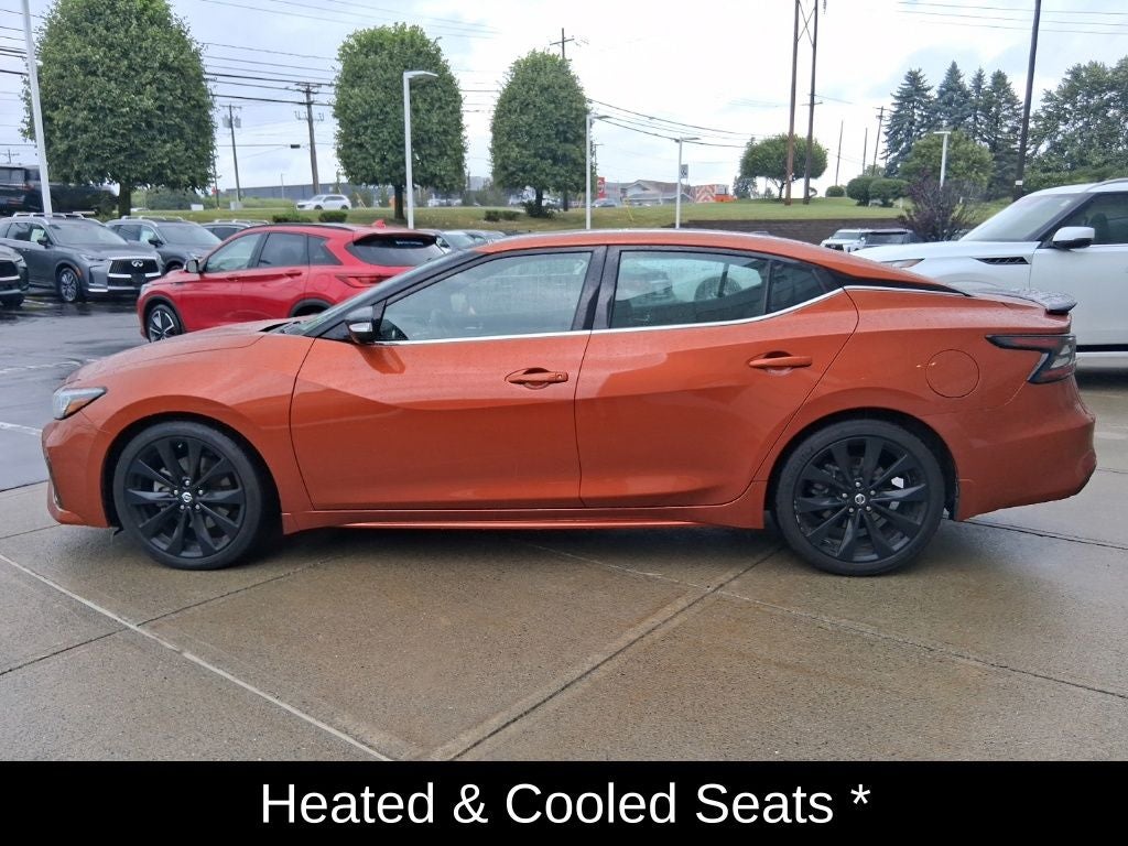2019 Nissan Maxima SR