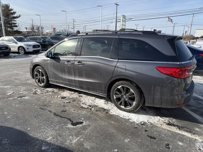 2024 Honda Odyssey Elite