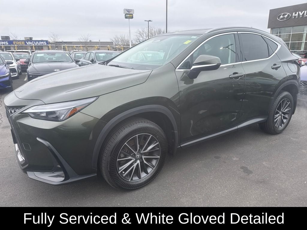 2024 Lexus NX 350 Base