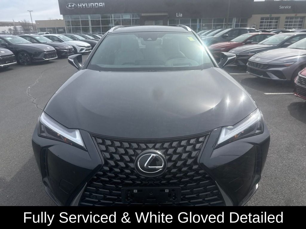2023 Lexus UX 250h Premium