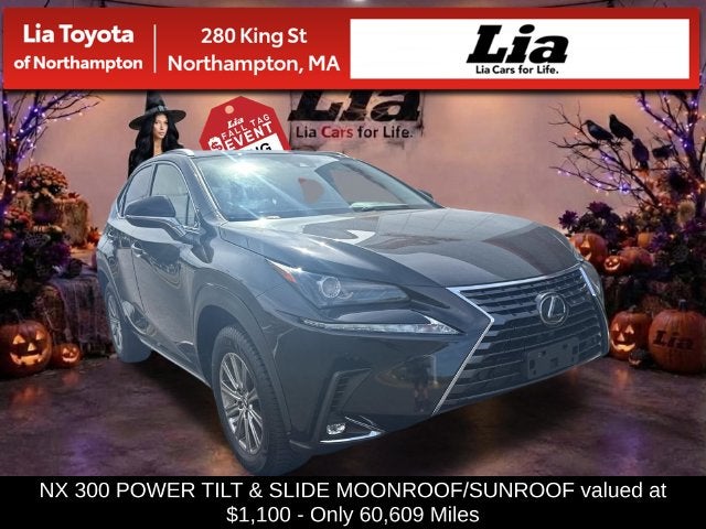2020 Lexus NX 300