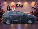 2020 Lexus NX 300