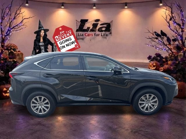 2020 Lexus NX 300
