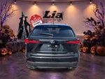 2020 Lexus NX 300