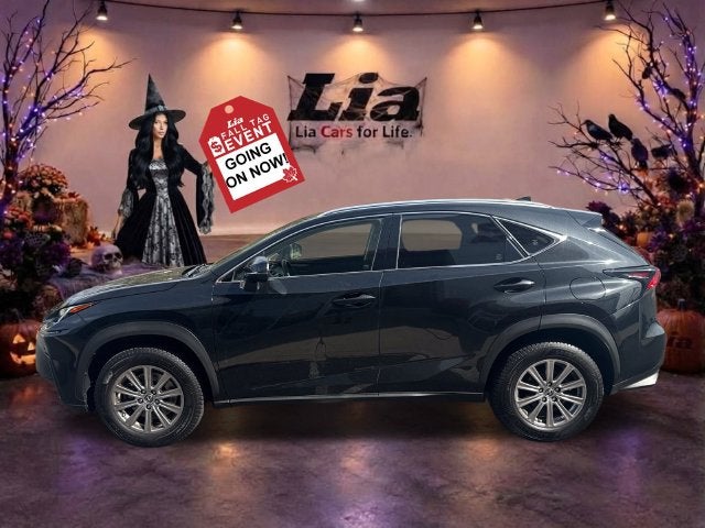 2020 Lexus NX 300